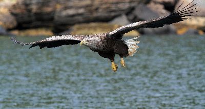 SRUC makes pledge to share wildlife management